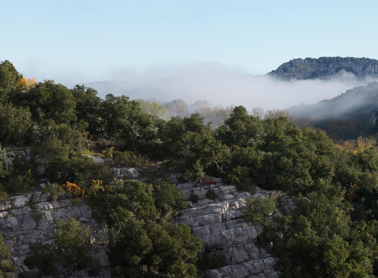 Les Hauts D'Issensac Causse-de-la-Selle Exterior foto