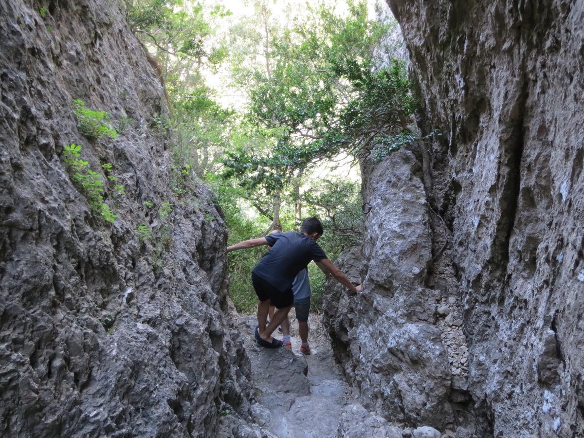 Les Hauts D'Issensac Causse-de-la-Selle Exterior foto