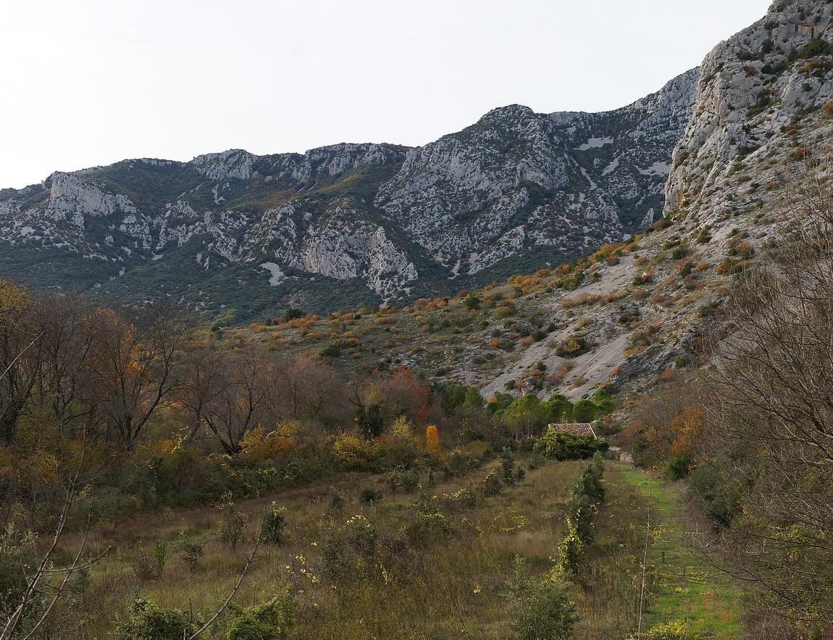 Les Hauts D'Issensac Causse-de-la-Selle Exterior foto